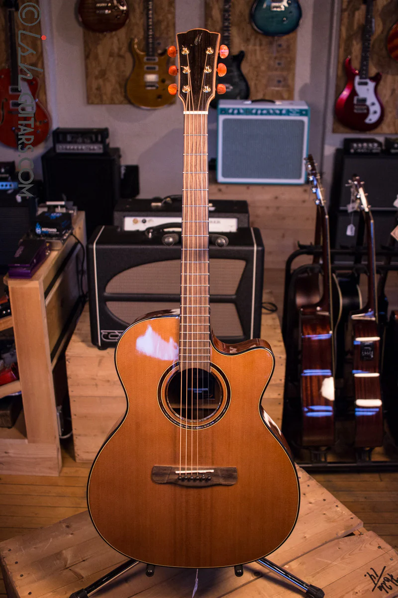 Merida Extrema Diana DG-15FOGACES Acoustic Guitar - Image 2