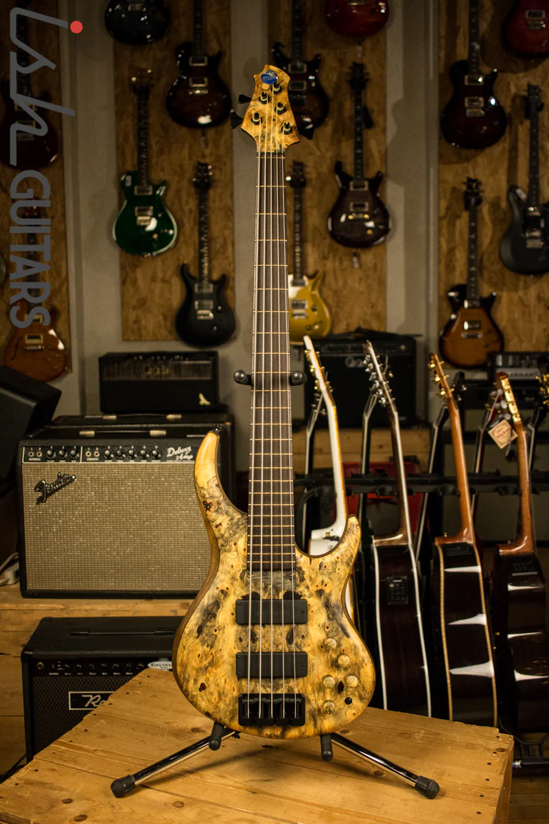 MTD 535-24 Buckeye Burl Bass Guitar - Image 2