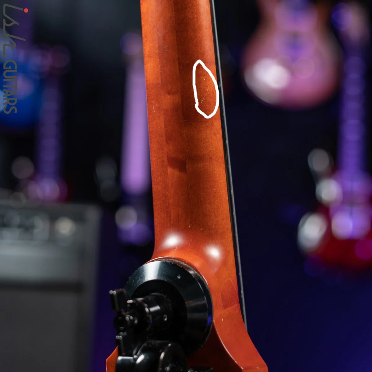 NS Design CR5 Fretted OMNI 5 String Stand up Bass - Image 10