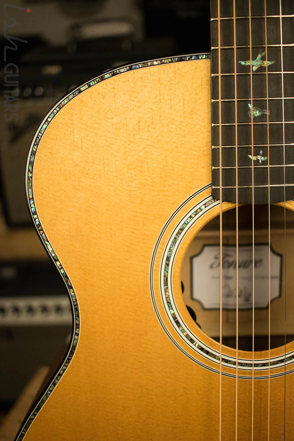 Paul Reed Smith PRS 2018 Tonare SE T50E Acoustic - Image 3