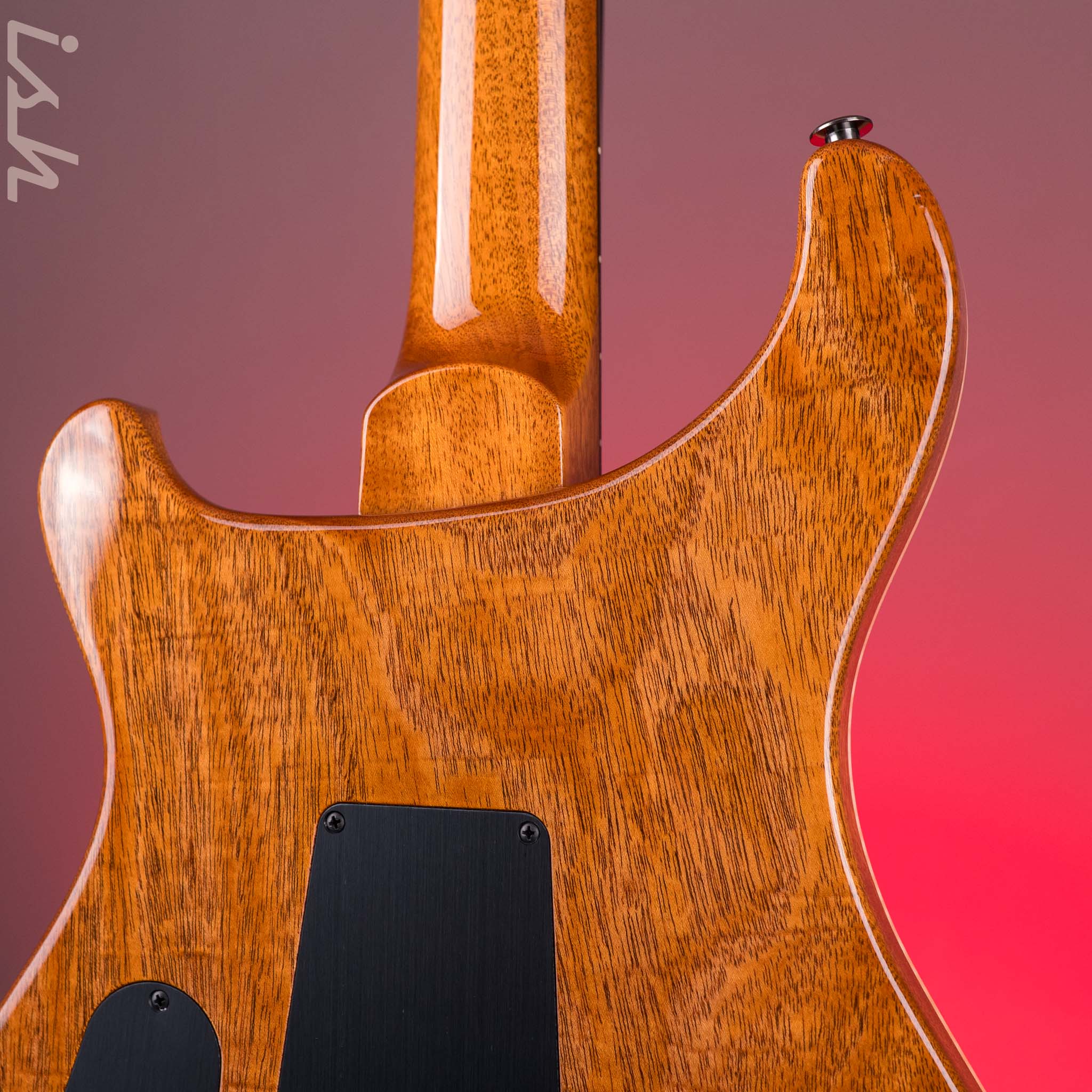 PRS Custom 24 Purple Hollowflake *Ziricote Fretboard* Demo - Image 11