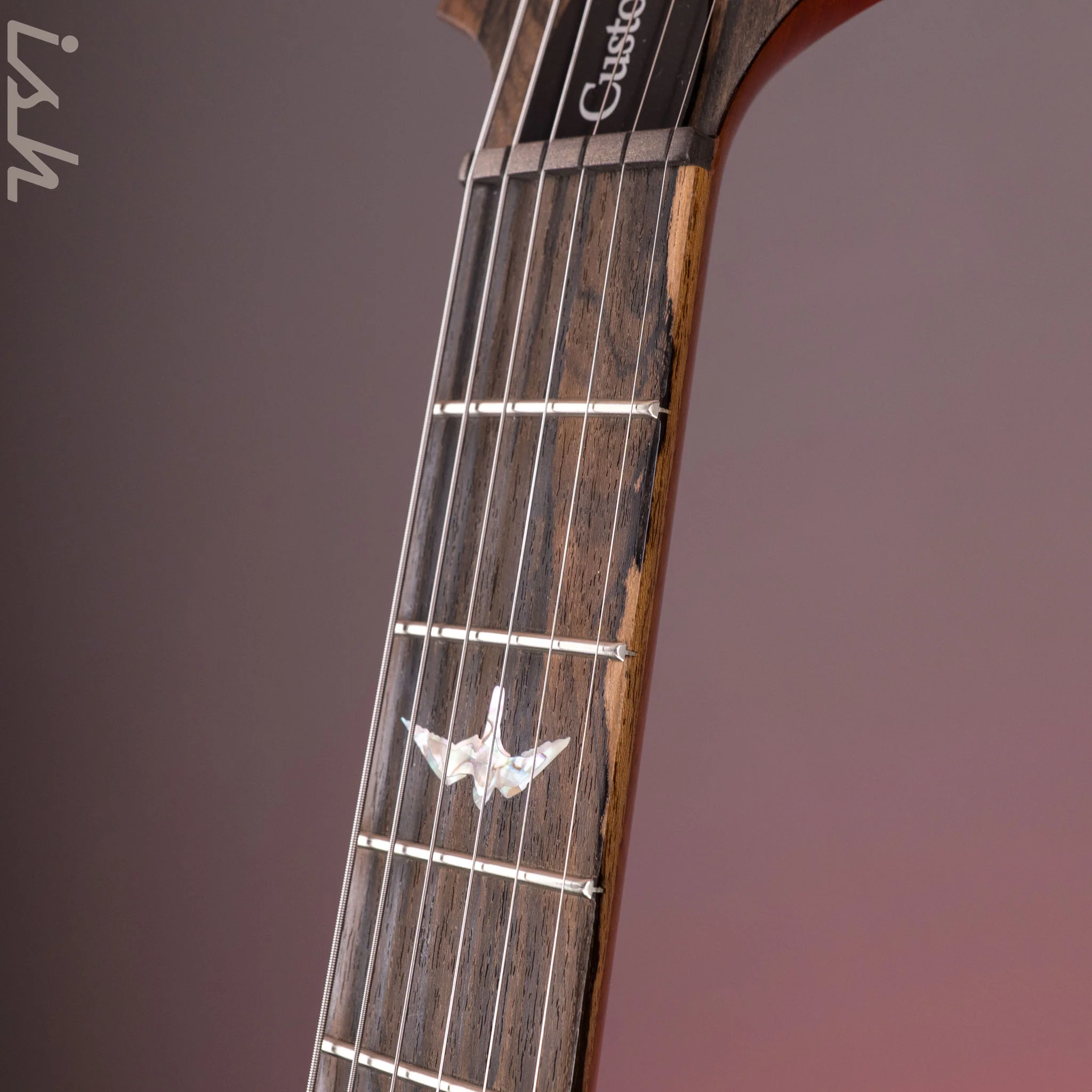 PRS Custom 24 Purple Hollowflake *Ziricote Fretboard* Demo - Image 7
