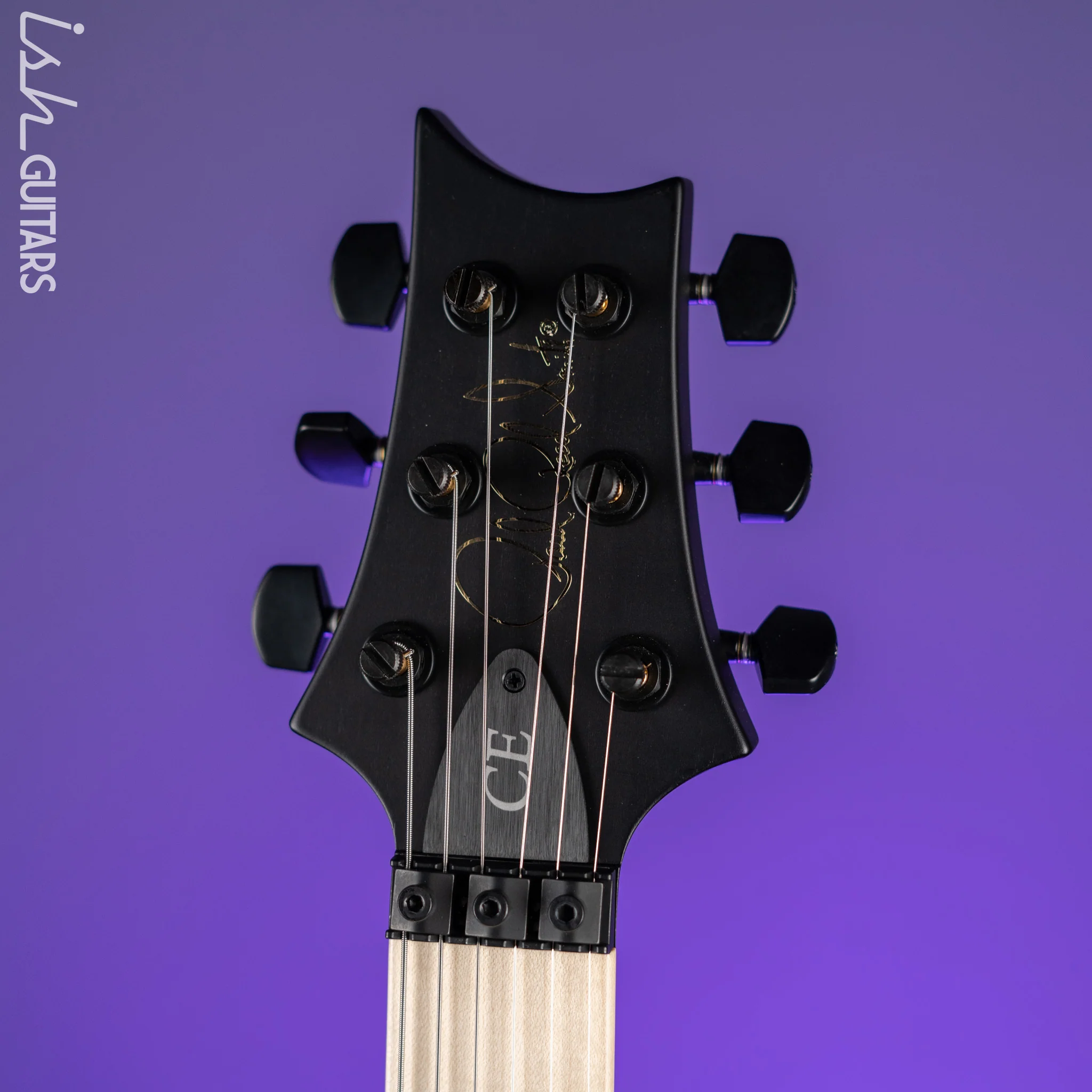 PRS Dustie Waring Signature CE 24 Floyd Satin Black - Image 5
