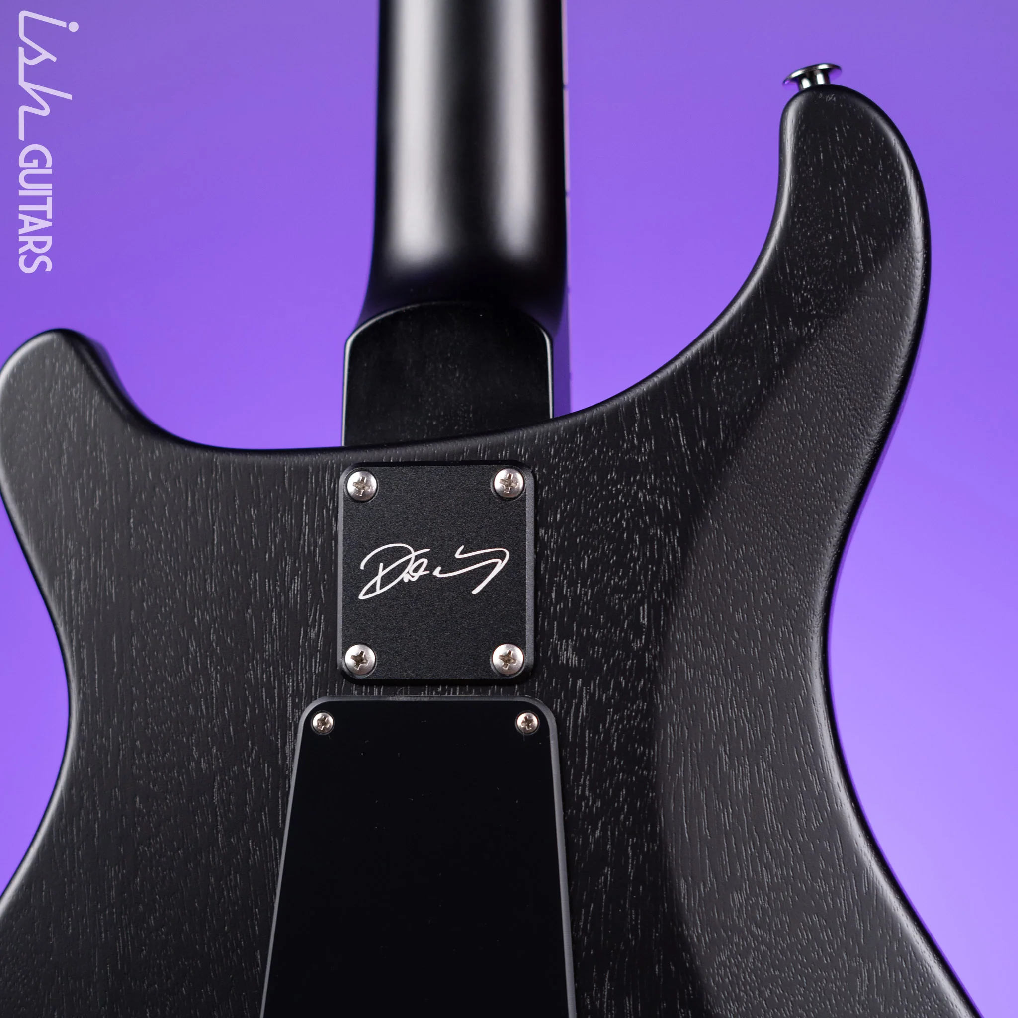 PRS Dustie Waring Signature CE 24 Floyd Rose Waring Burst - Image 8