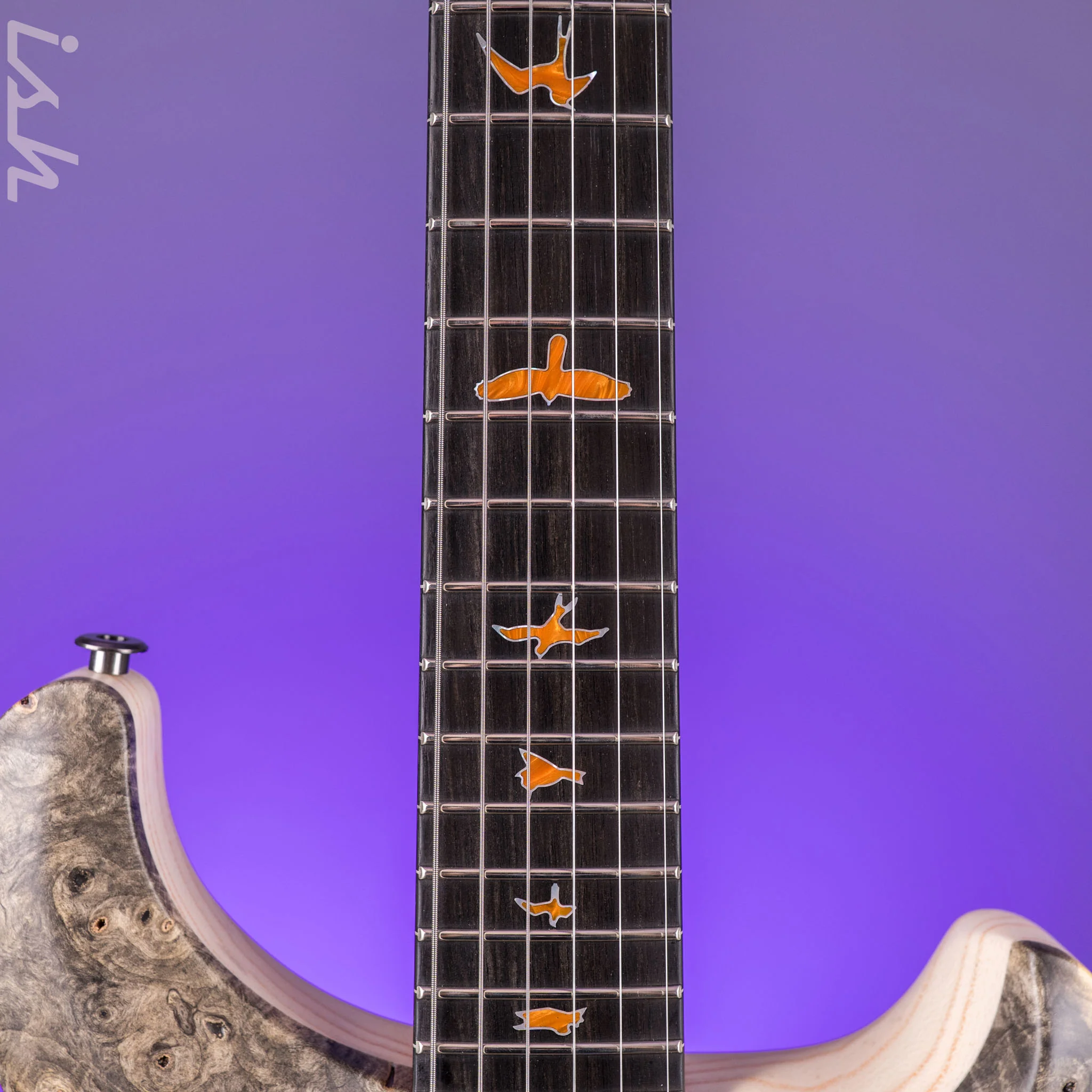 PRS Private Stock Custom 24 Buckeye Burl - Image 6