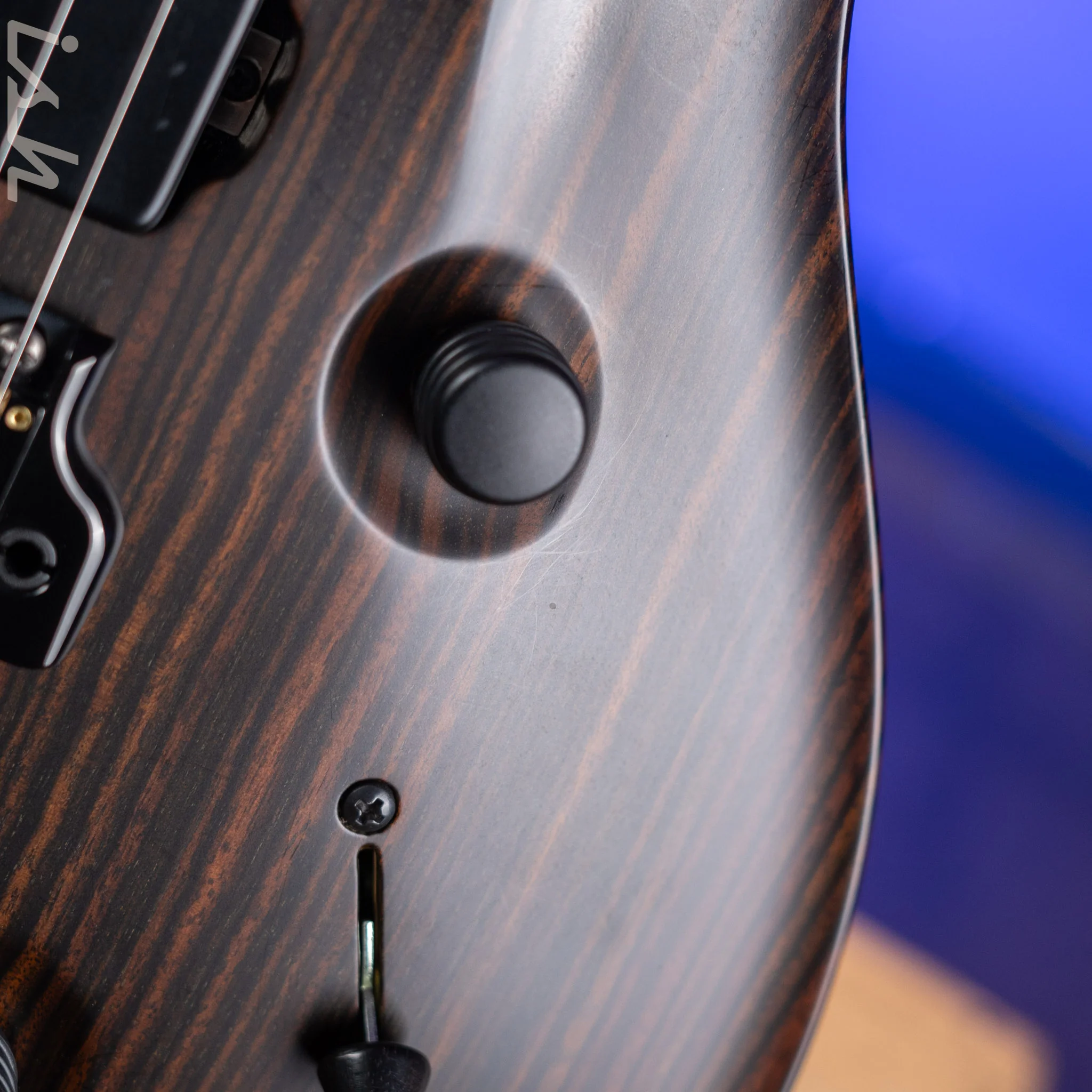 2021 PRS Private Stock Custom 24 Semi-Hollow Macassar Ebony Satin Nitro - Image 9