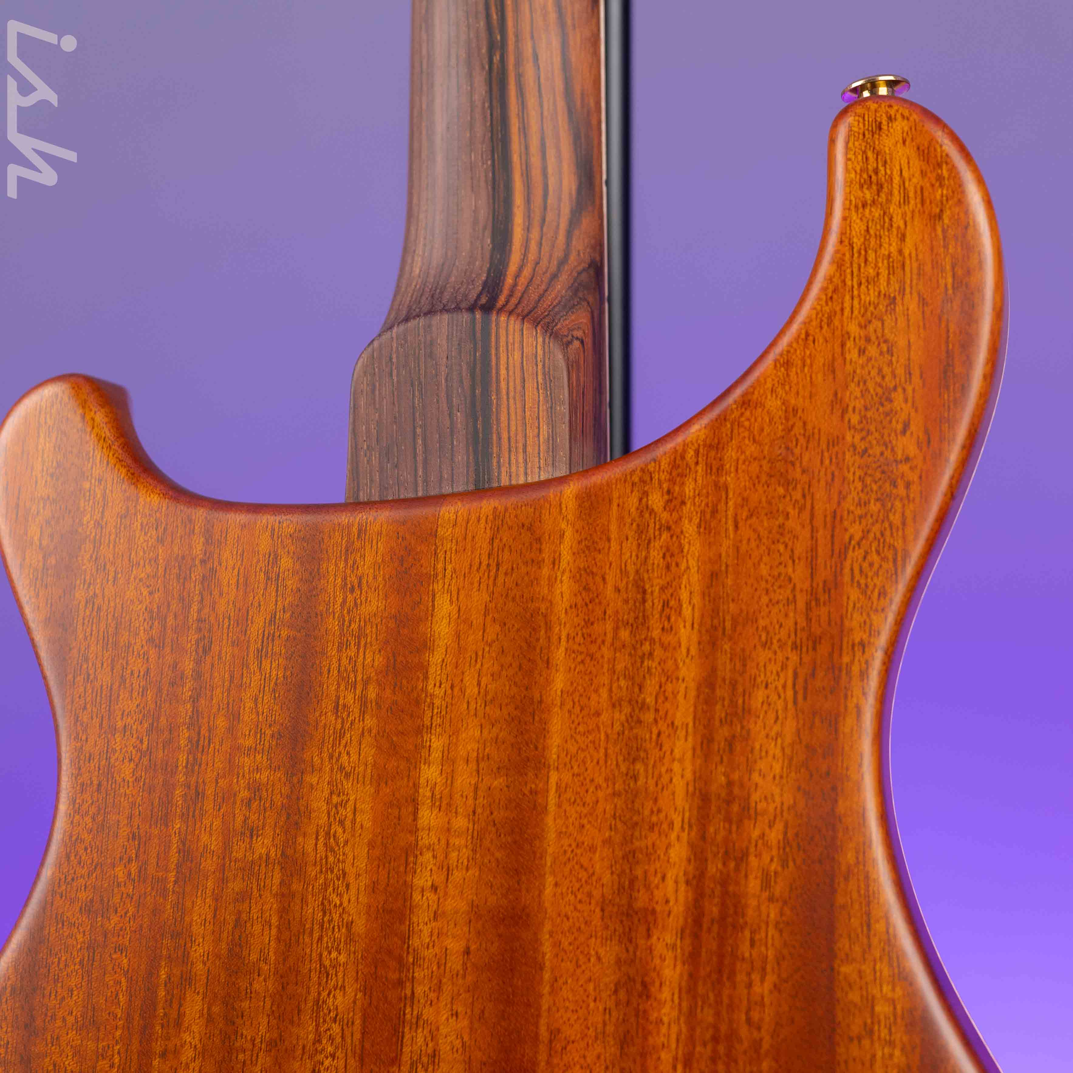 PRS Private Stock Paul's Guitar Semi-Hollow Cocobolo - Image 9