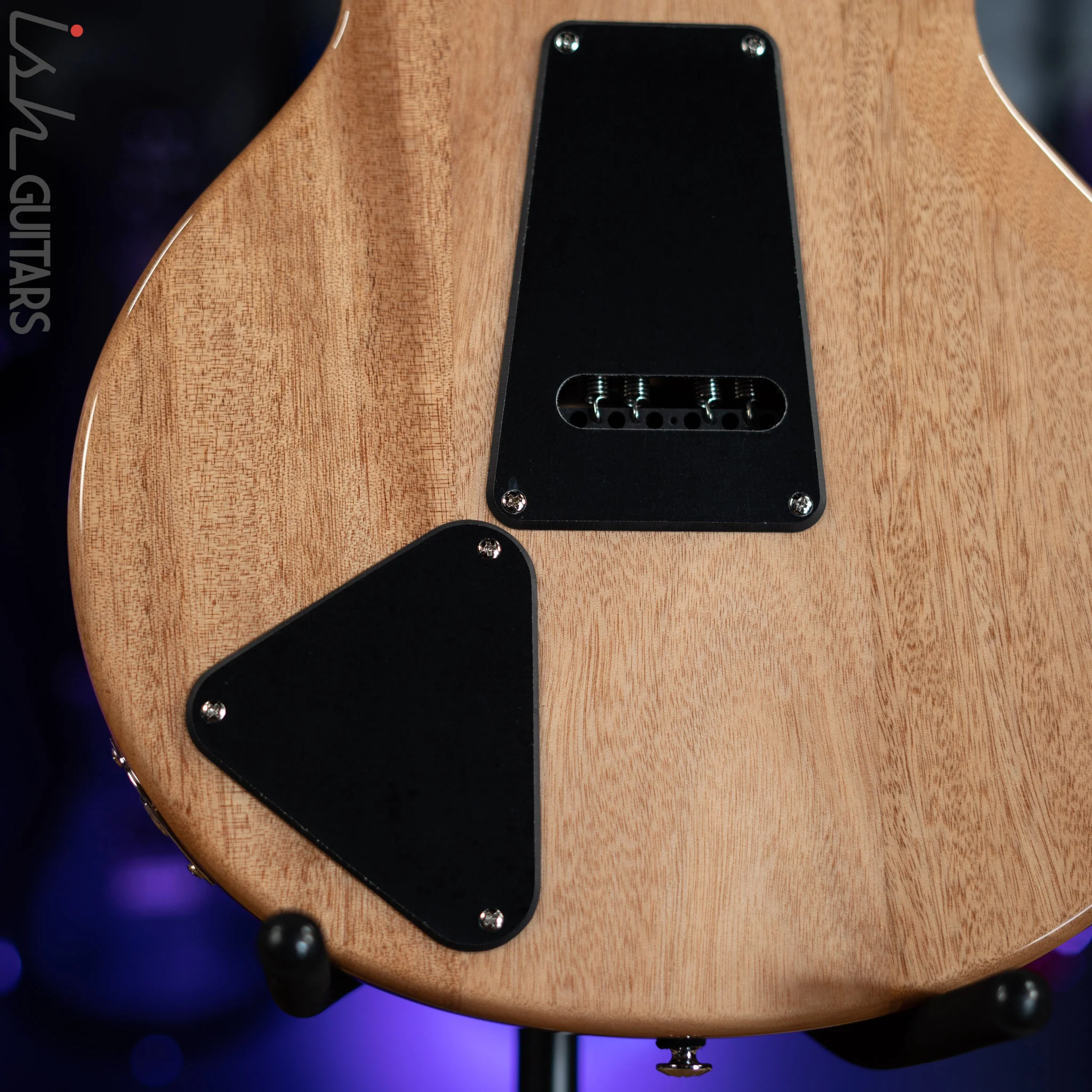 PRS SE Santana Abraxas Limited Edition 50th Anniversary - Image 10