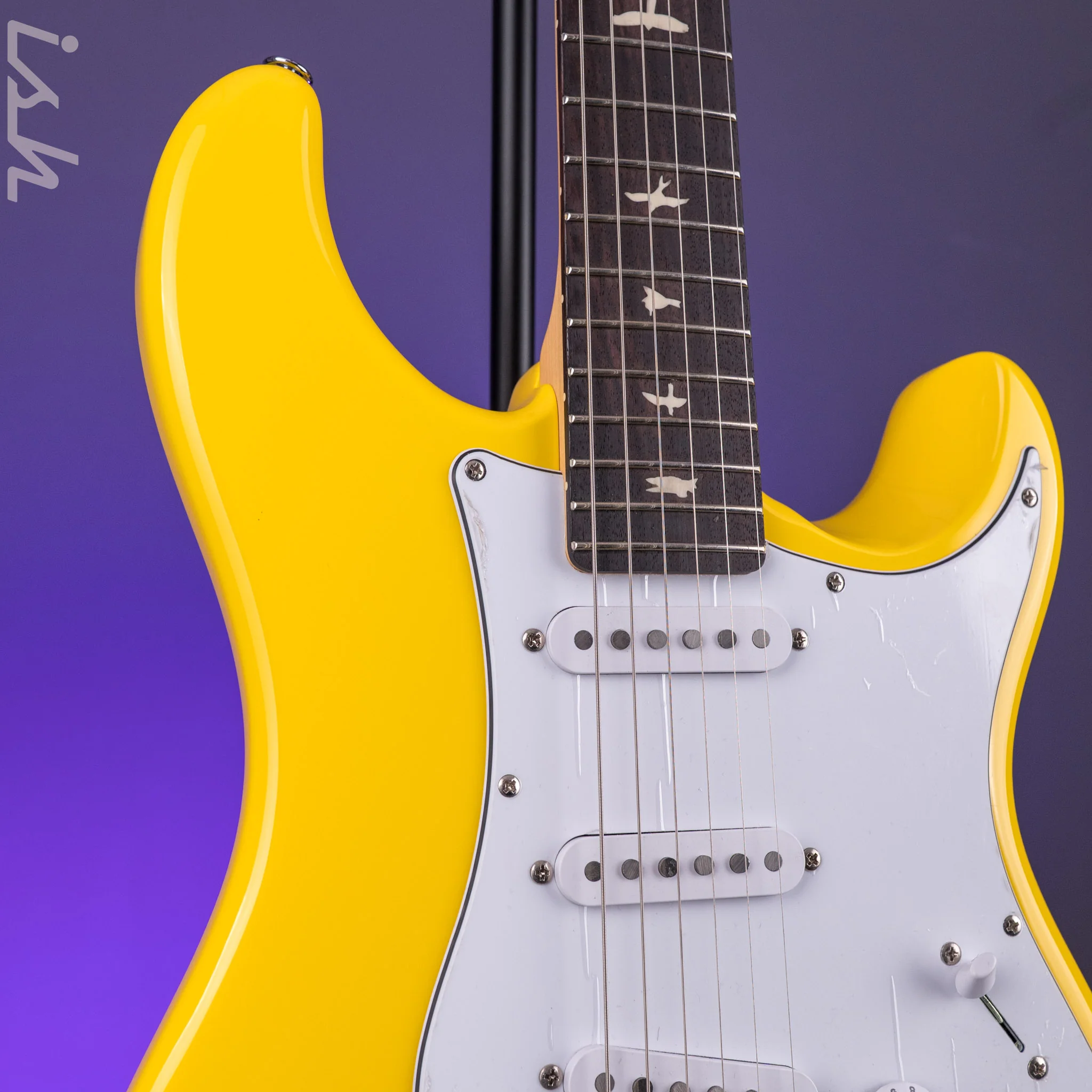 PRS SE Silver Sky Dandy Lion - Image 4