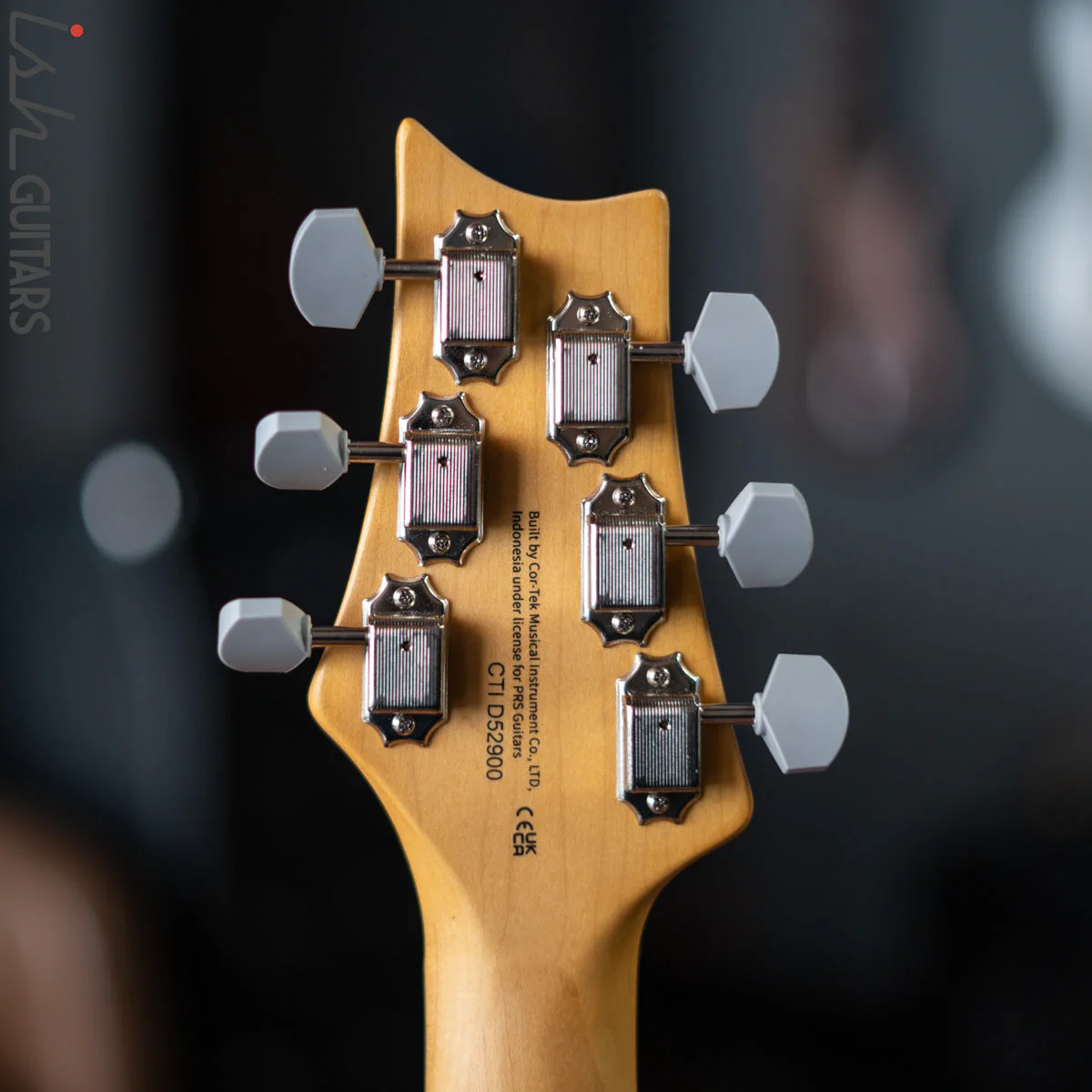 PRS SE Silver Sky Dragon Fruit Demo - Image 12