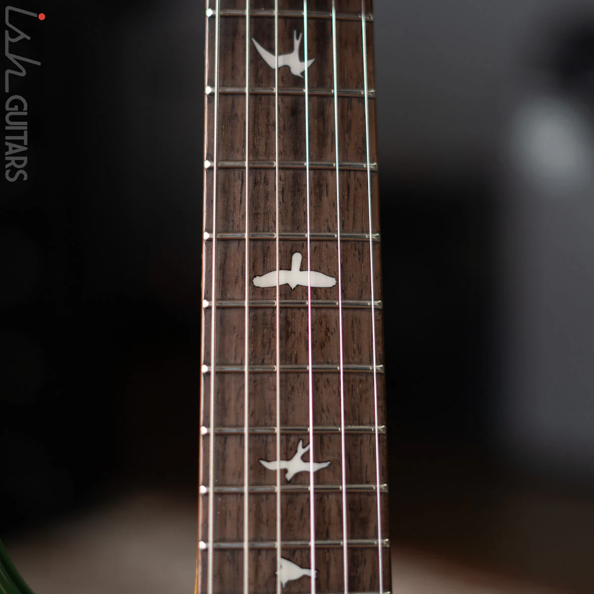 PRS SE Silver Sky Ever Green Demo - Image 5