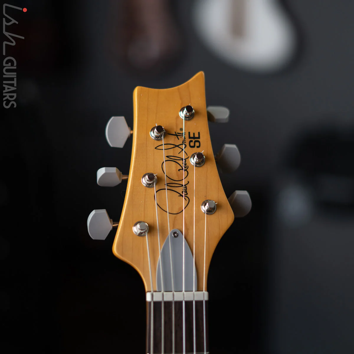 PRS SE Silver Sky Ever Green Demo - Image 5