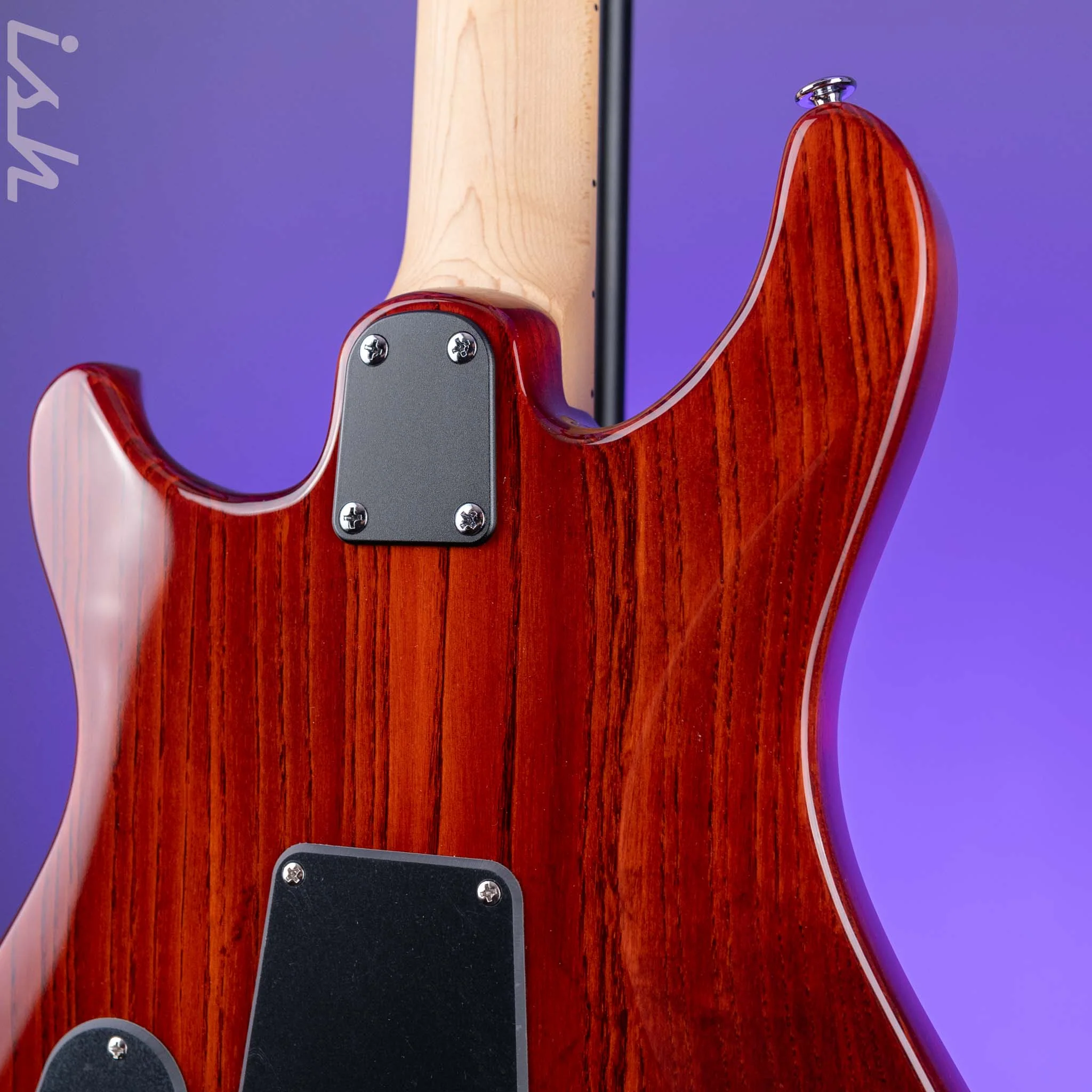 PRS SE Swamp Ash Special Electric Guitar Vintage Sunburst Demo - Image 8