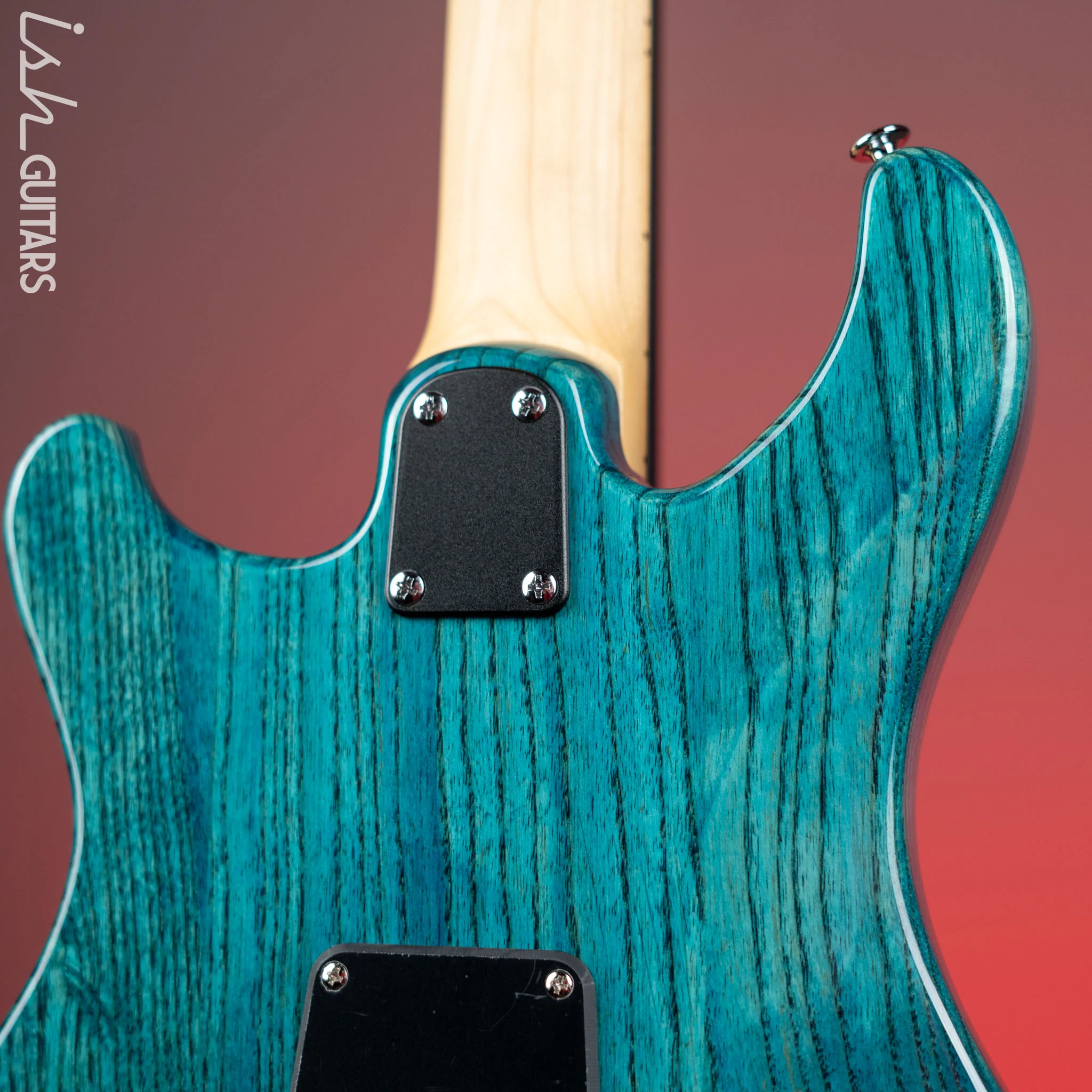 PRS SE Swamp Ash Special Iri Blue Electric Guitar - Image 9
