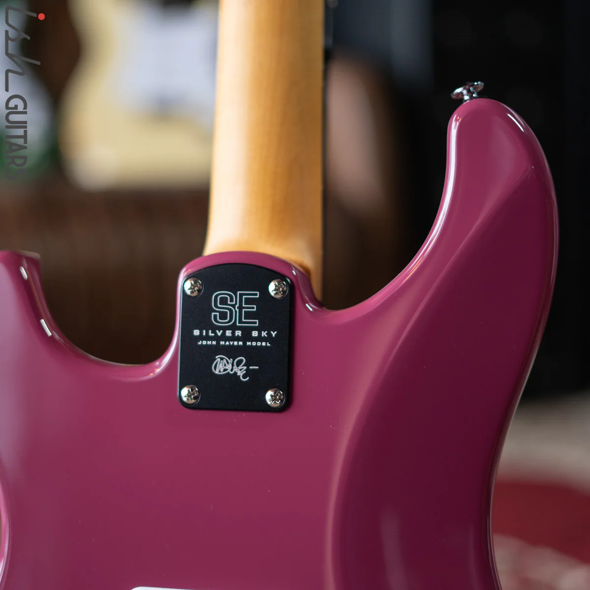 PRS SE Silver Sky Dragon Fruit - Image 10