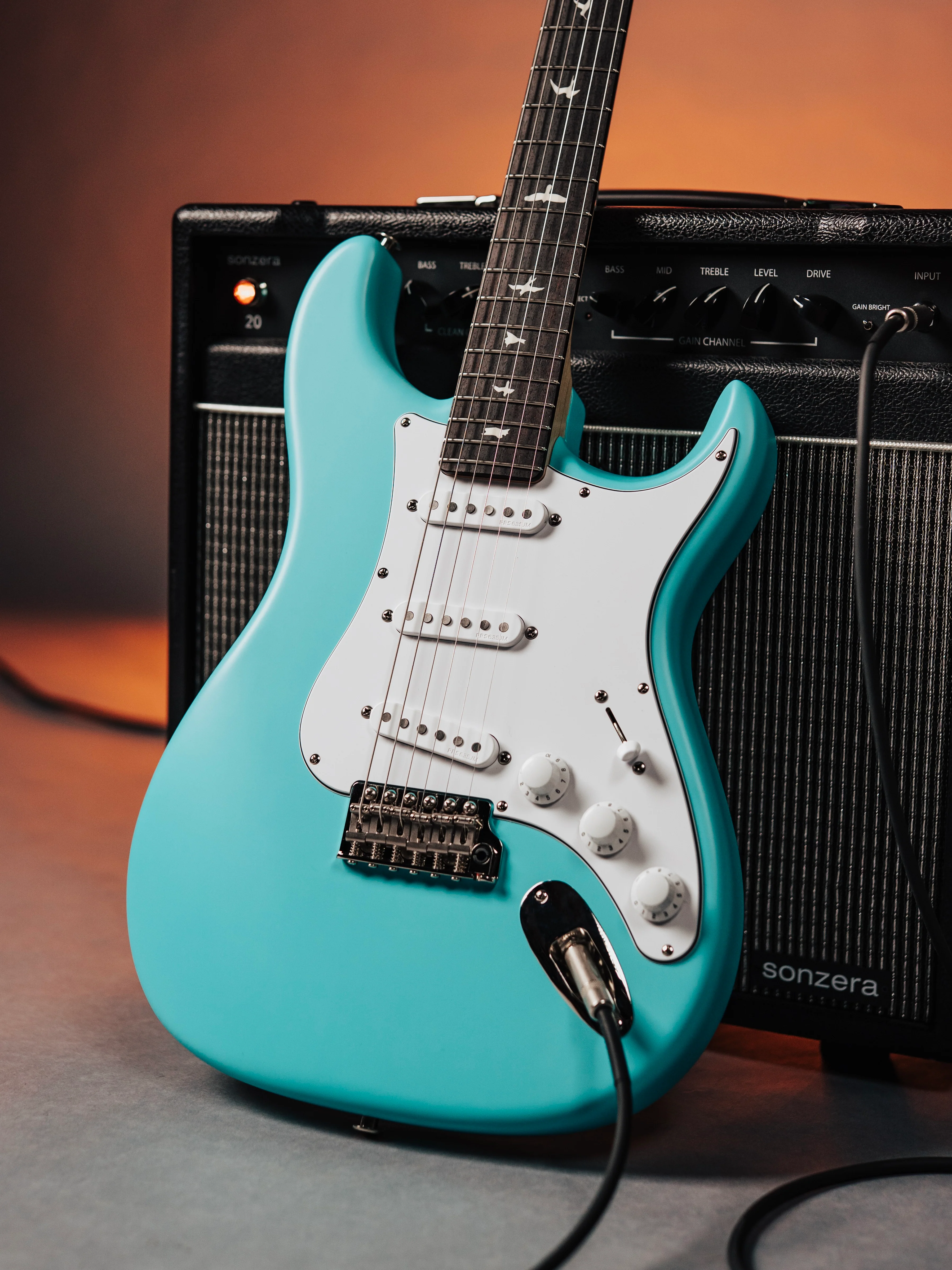 PRS Silver Sky Wild Blue Limited Edition - Coming Soon!