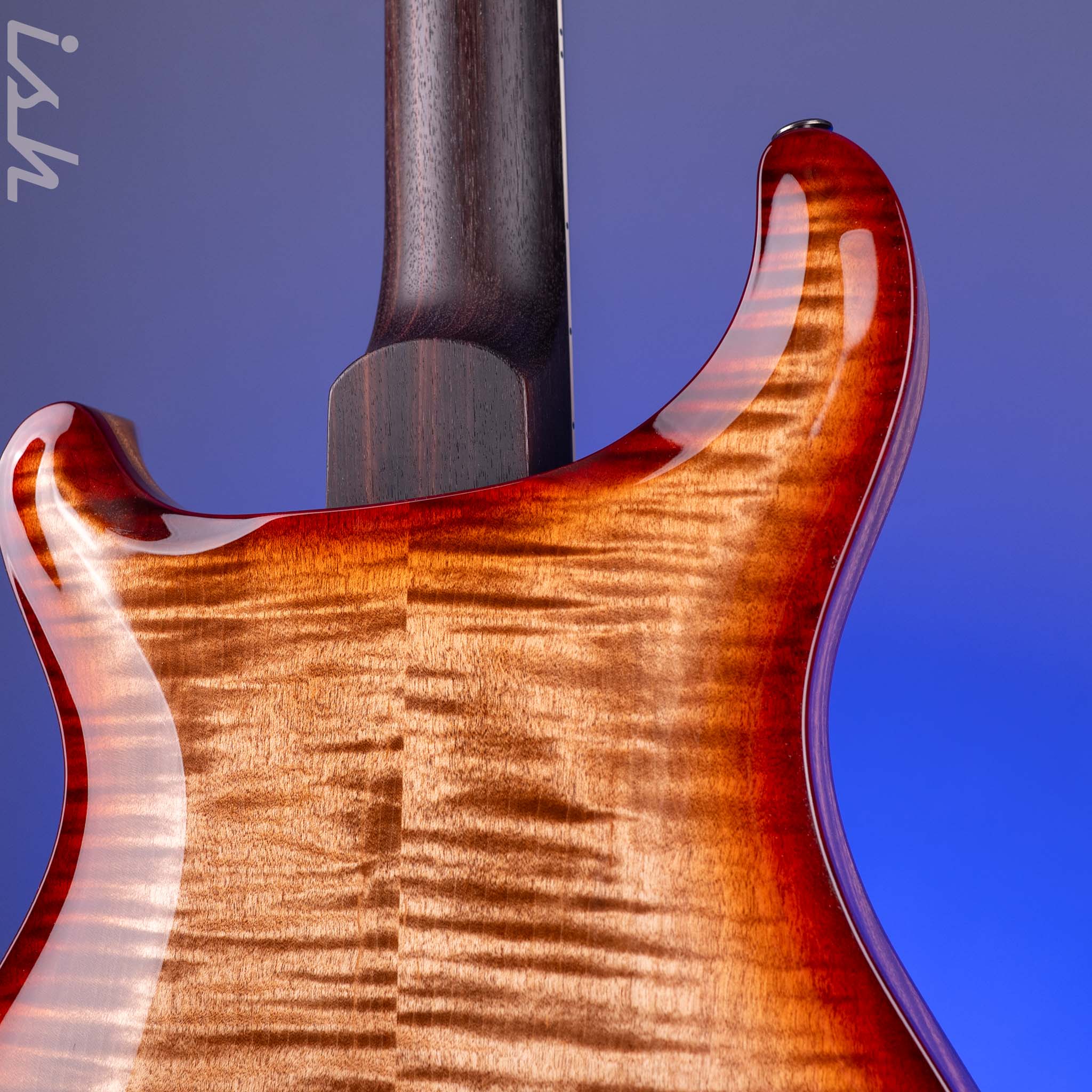PRS Wood Library Hollowbody II 594 10-Top Brazilian RW Fretboard Autumn Burst Custom Color - Image 10