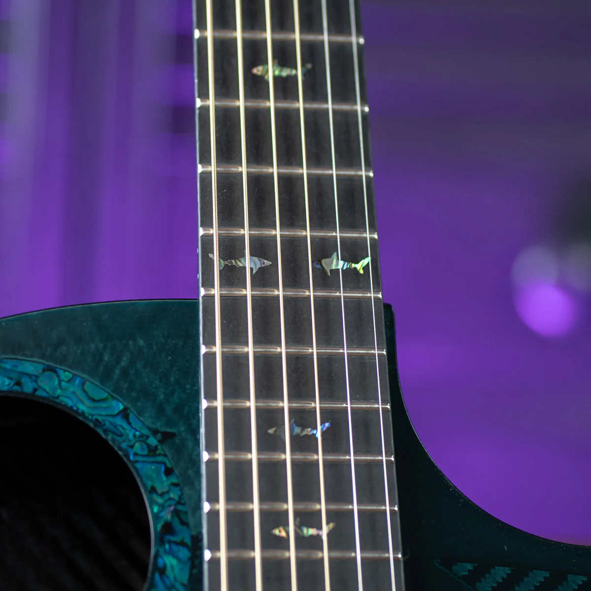 RainSong 25th Anniversary Black Ice Acoustic Guitar - Image 5