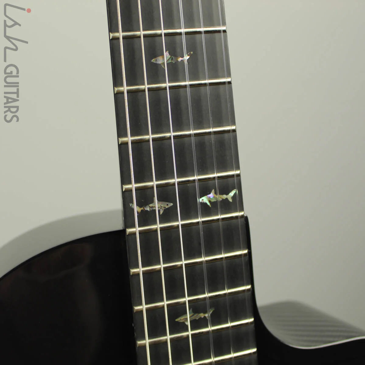 Rainsong CO-PA9000NS Concert Series Parlor Nylon Carbon Fiber Acoustic - Image 7