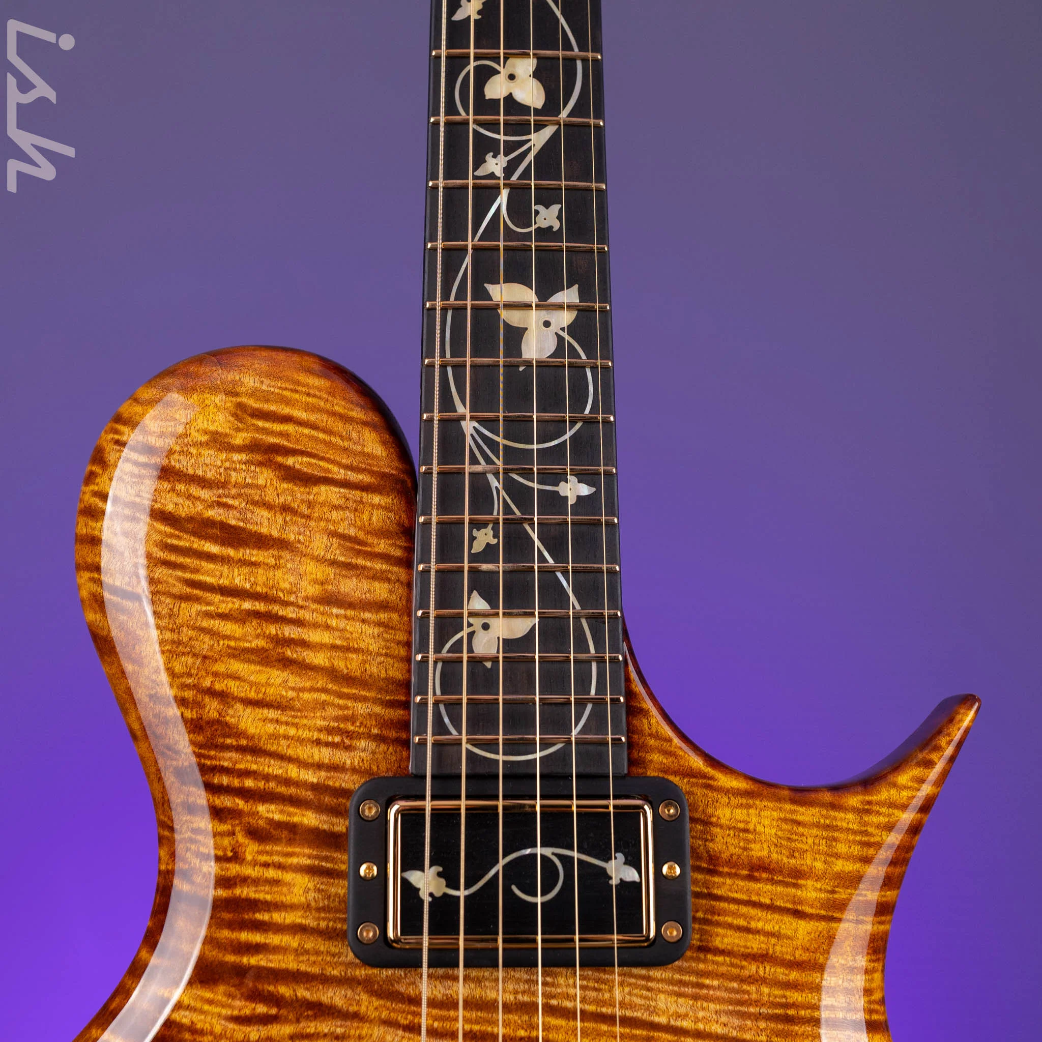 Ritter Porsch Flora Aurum Late Lounge Electric Guitar - Image 6