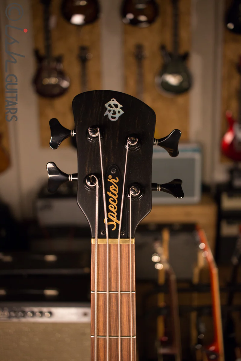 USA Spector Forte 4 Walnut Matte Aguilar Pickups - Image 5