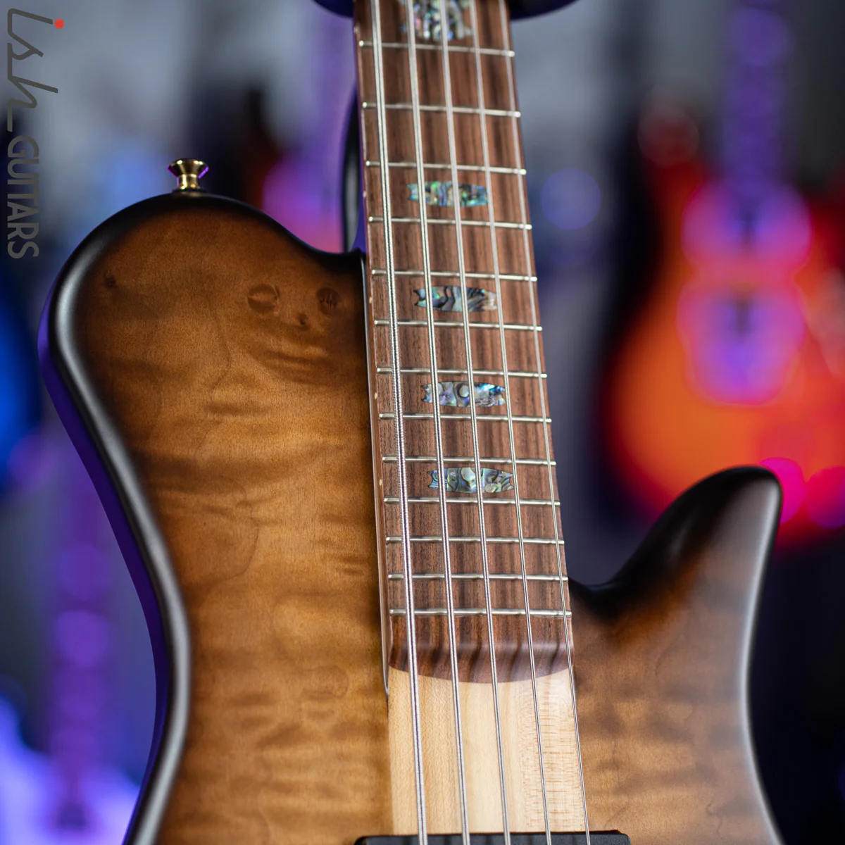 Spector Singlecut SC5 NS-5 Bass Natural Tobacco Burst Matte Flame Maple - Image 5