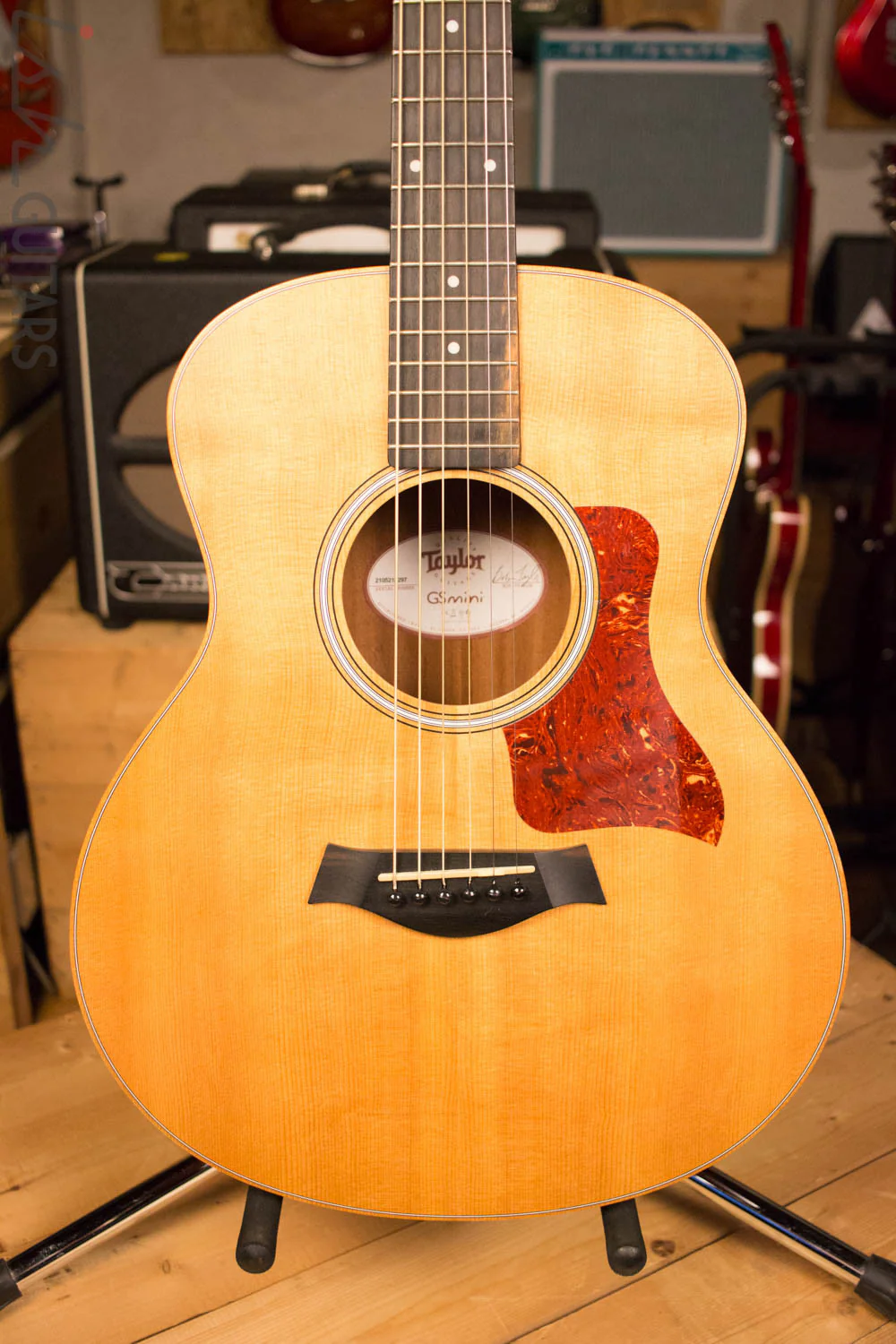 Taylor GS Mini