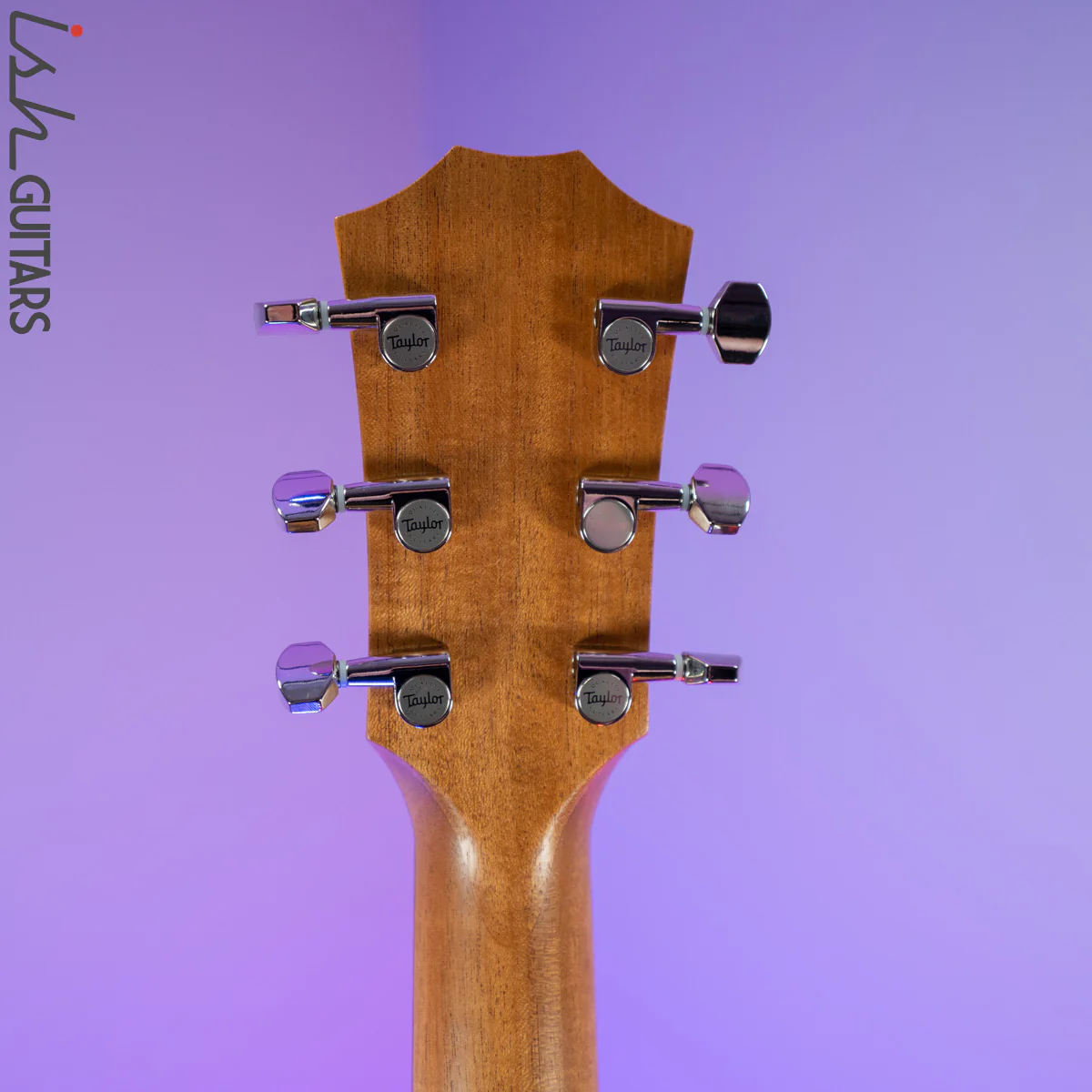 Taylor GT Urban Ash/Spruce - Image 10