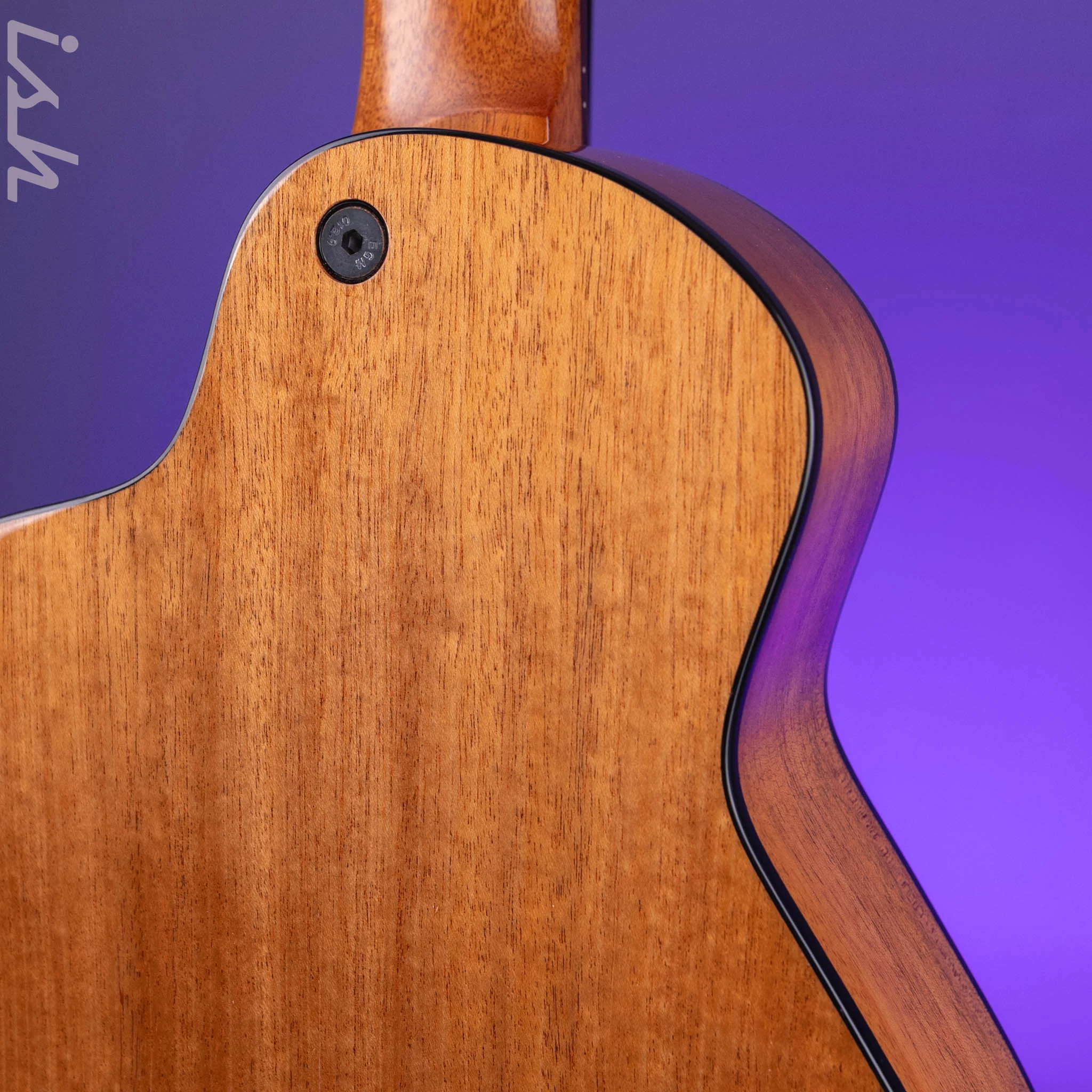 Veillette Avante Gryphon 12-String Acoustic Guitar Natural - Image 9